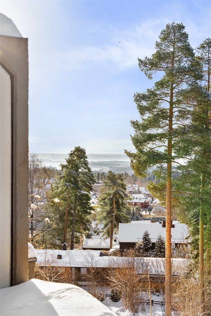 Fra eiendommen er det en vidstrakt utsikt over Oslo.