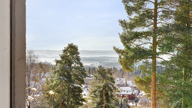 Fra eiendommen er det en vidstrakt utsikt over Oslo.