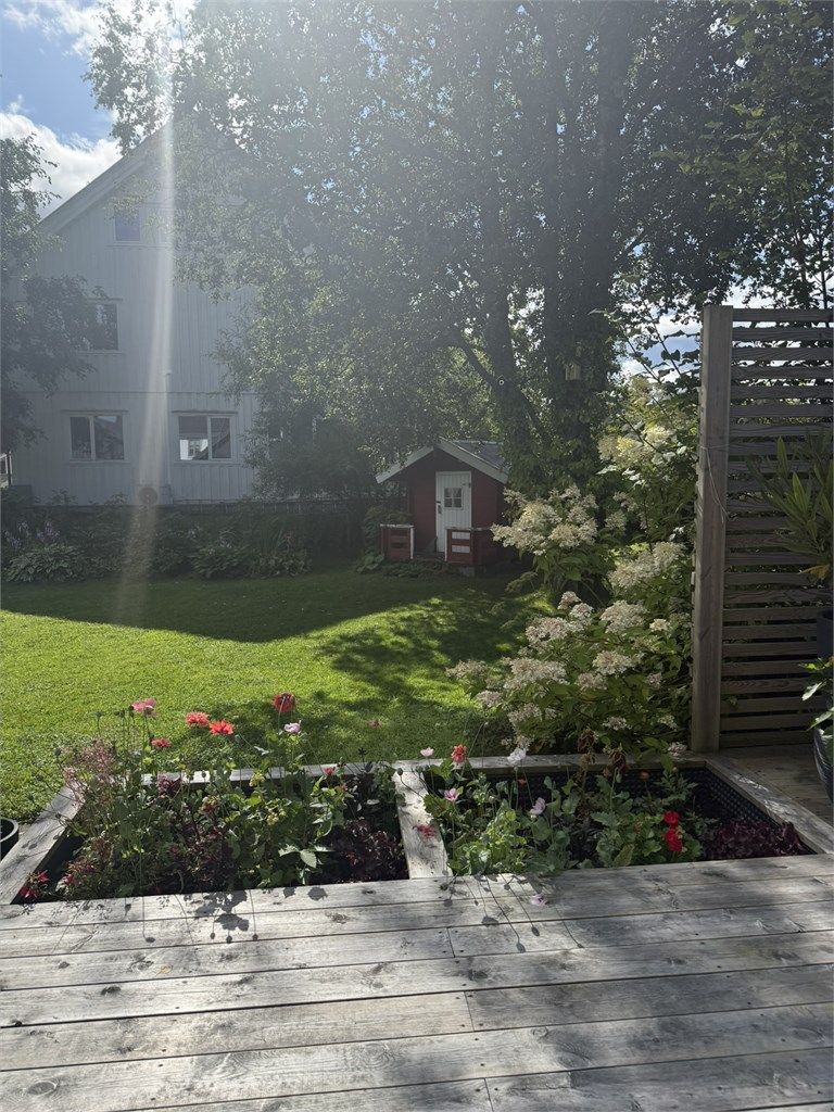 Blomstrende hage og lekehus på sommerstid.