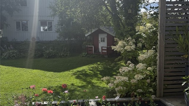 Blomstrende hage og lekehus på sommerstid.