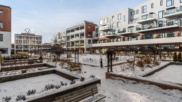 Felles bakgård, opparbeidet med plen, beplantninger, sosiale soner og lekeområder.