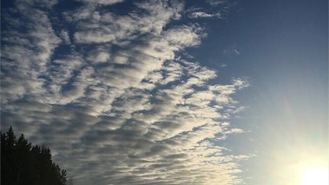 På vinterstid kan du gå på skøyter på Nøklevann - på trygge isdager vel og merke!