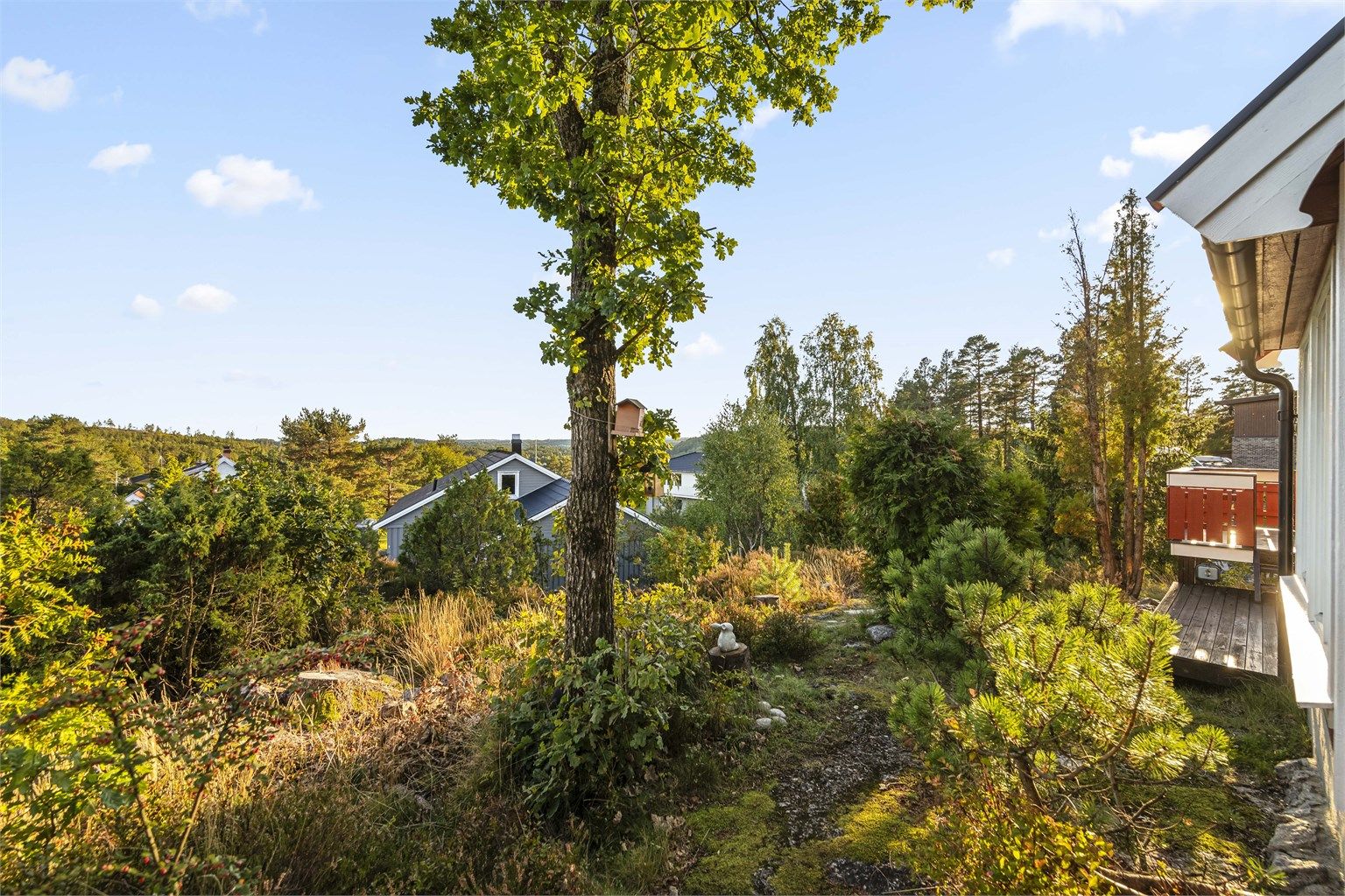 Naturtomten byr på fine partier med utsikt og naturlig vegetasjon.