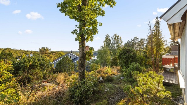 Naturtomten byr på fine partier med utsikt og naturlig vegetasjon.