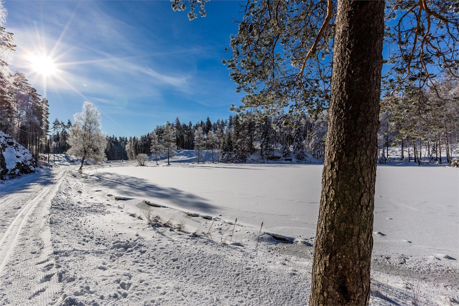 Kort vei til flotte skiløyper i Lillomarka