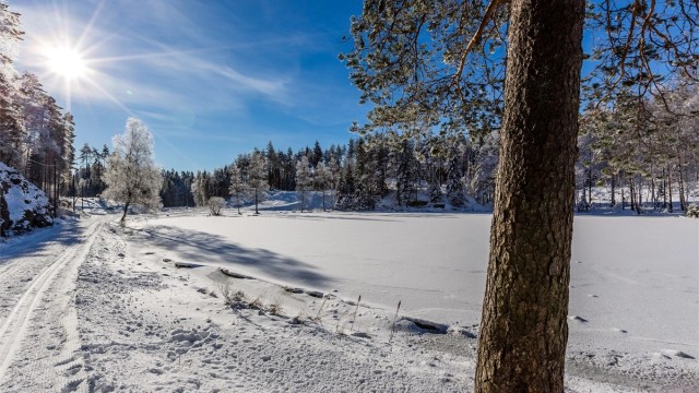 Kort vei til flotte skiløyper i Lillomarka