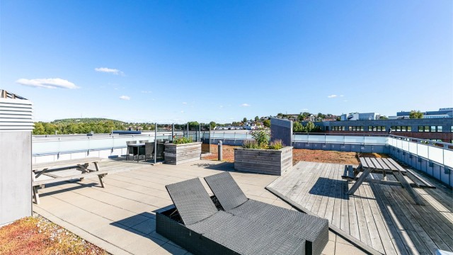Som seksjonseier får du tilgang til sameiets store og solfylte takaltan.
