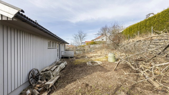 Usjenert hage på husets bakside med stenmur og diverse beplantning.