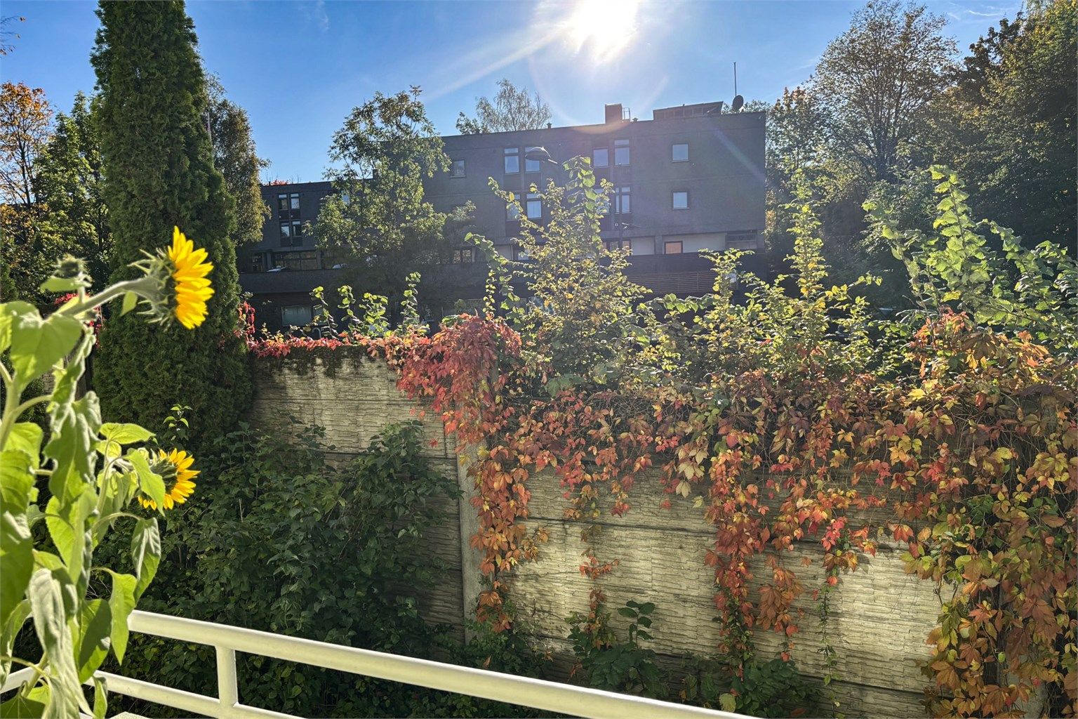 Her blir det frodig på sommerstid!