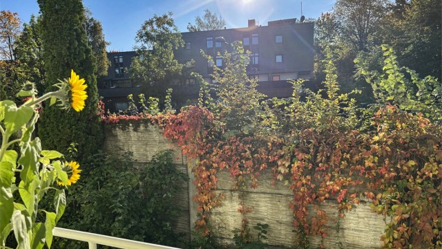 Her blir det frodig på sommerstid!