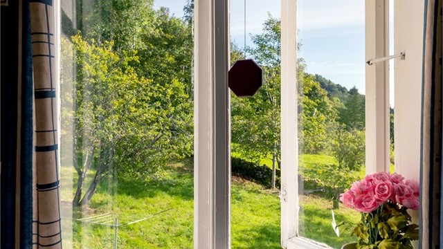 Utsyn fra loftsvinduet mot de grønne engene og åssiden bak boligen.