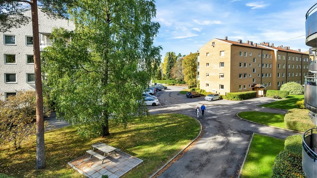 Utsyn fra leiligheten over borettslagets grøntarealer og interne gangveier. Trærne skjermer for det meste av innsyn.