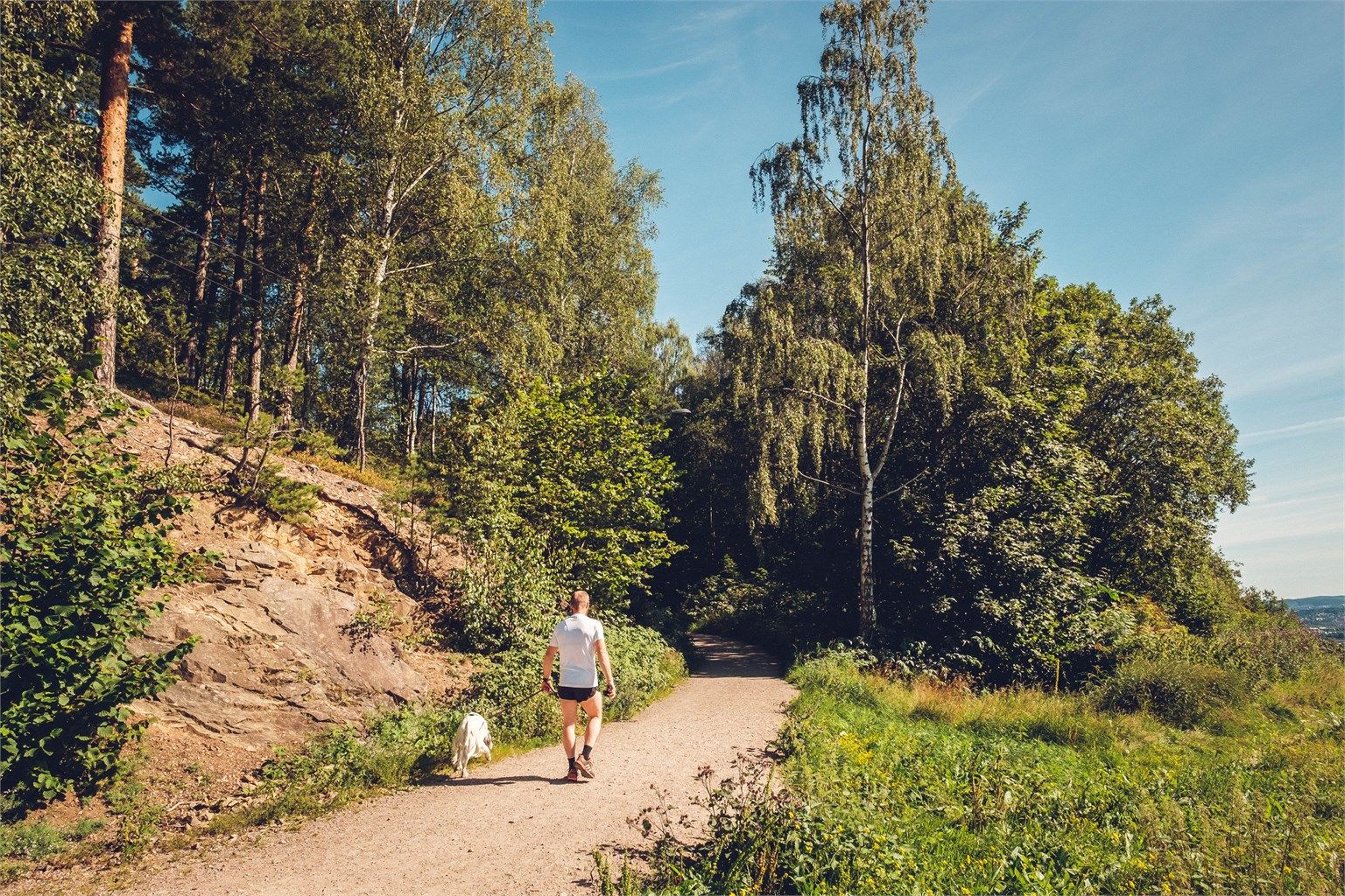 Tursti fra Akebakken opp til Grefsenkollen