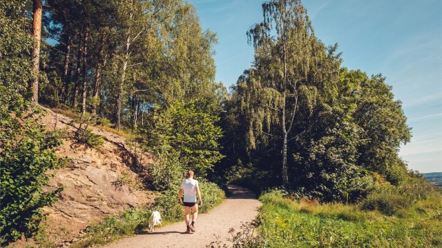 Tursti fra Akebakken opp til Grefsenkollen