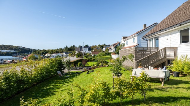 Hage beplantet med en nyere bøkhekk, bambus og frukttrær etc.