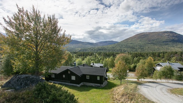 Etablert hytteområde med god avstand til nabohyttene og umiddelbar nærhet til naturen.