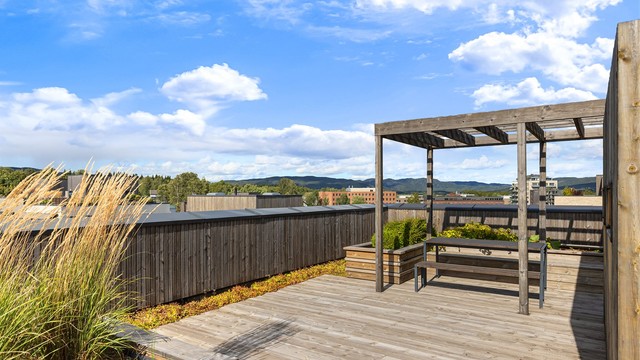 Sameiet har flere flotte, felles takterrasser med sittegrupper og beplantning.