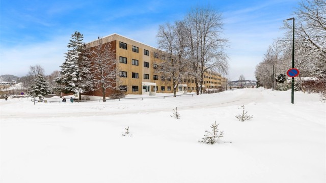 Leiligheten ligger i et veletablert borettslag med velholdte fellesområder.