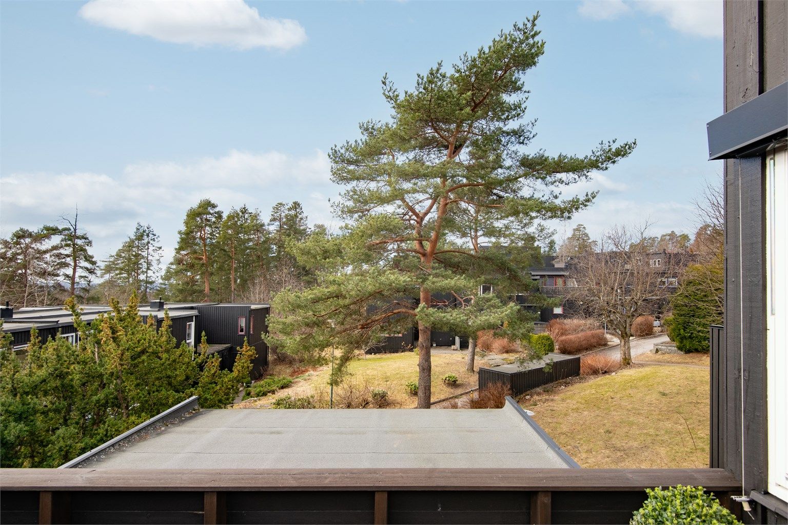 Utsikt fra terrassen over nærområdet på Munkerud.