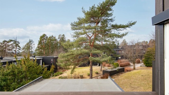 Utsikt fra terrassen over nærområdet på Munkerud.