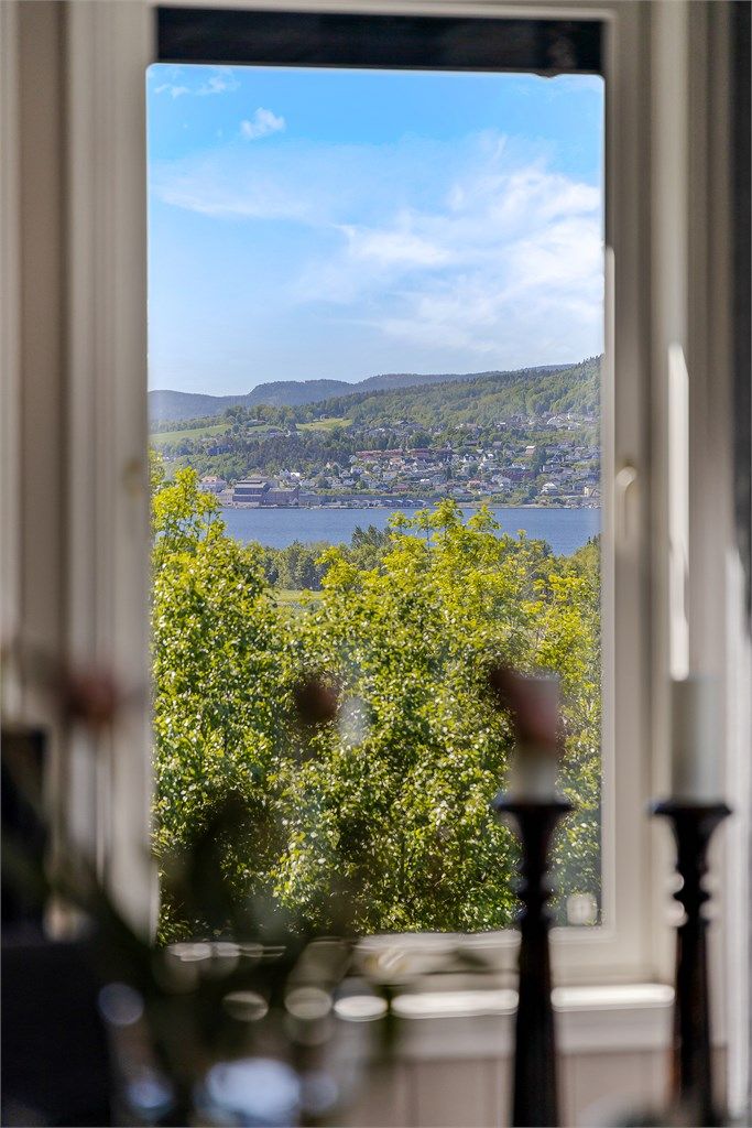 Vinduene rammer inn utsikten over nærområdet og fjorden.