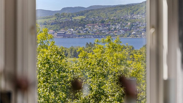 Vinduene rammer inn utsikten over nærområdet og fjorden.