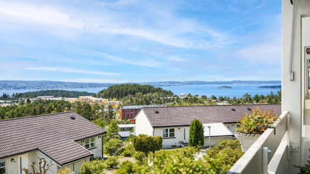 Sommerbilde (Bildet er Ai generert)