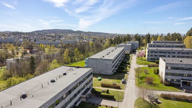 Dette er et trygt og veletablert område, anbefalt for familier og etablerere.