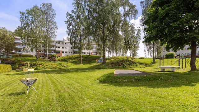 Frisbee nett, petanque-bane og bordtennis-bord