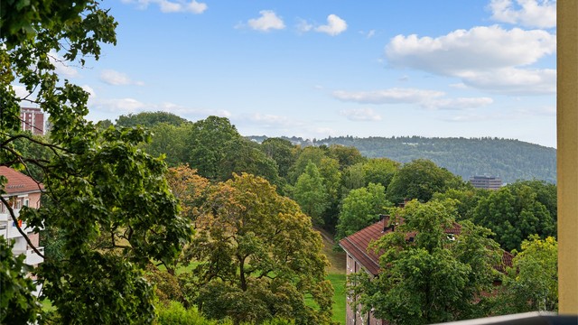 Herlig grønt utsyn fra leiligheten mot Ola Narr og Tøyenparken.