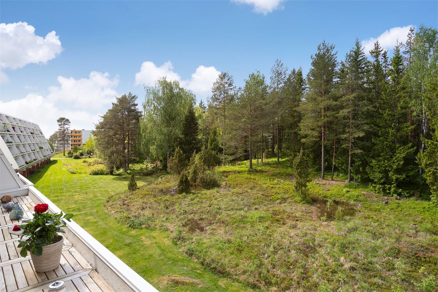 Her vandrer både rådyr og elg forbi med jevne mellomrom