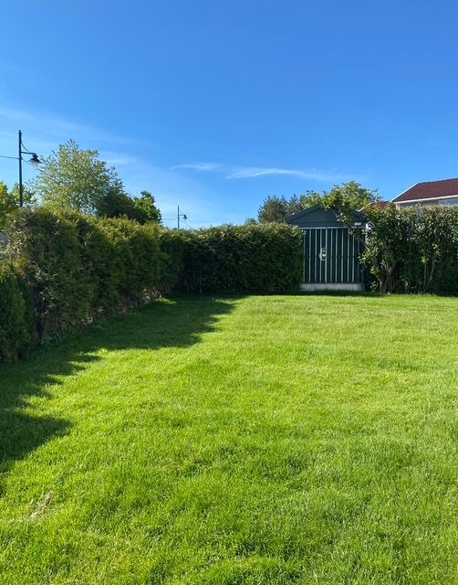 Selgers egne sommerbilder fra hage og uteplasser