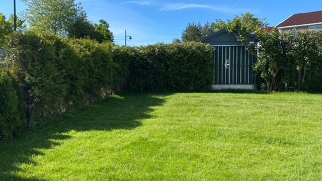 Selgers egne sommerbilder fra hage og uteplasser