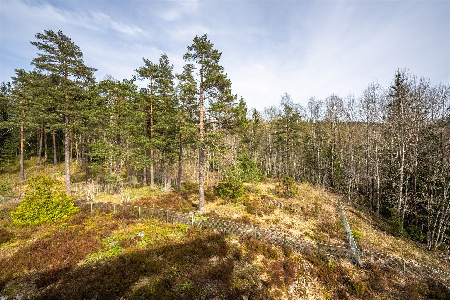 Marka ligger rett utenfor døren, med enkel tilgang til turstier og populære utfartsmål som Liastua.