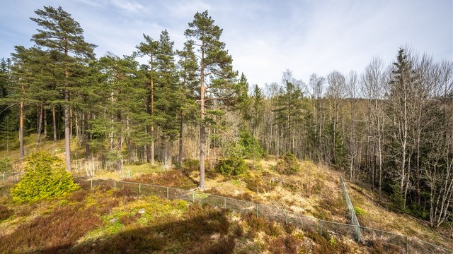 Marka ligger rett utenfor døren, med enkel tilgang til turstier og populære utfartsmål som Liastua.