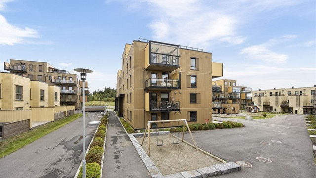 Velstelte fellesområder og asfalterte gangveier mellom byggene på tunet.