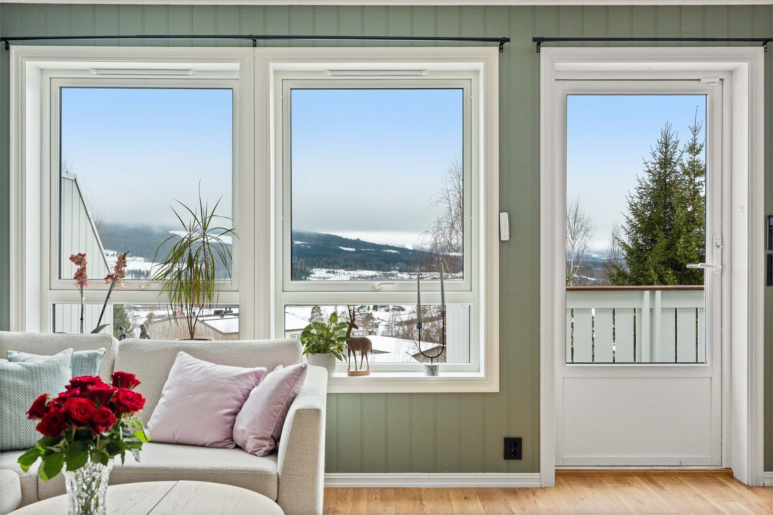 Flott utsikt fra stue og kjøkken. 