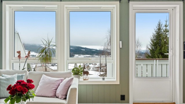 Flott utsikt fra stue og kjøkken.