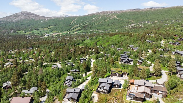 Dronebilde av hytten og nærområdet