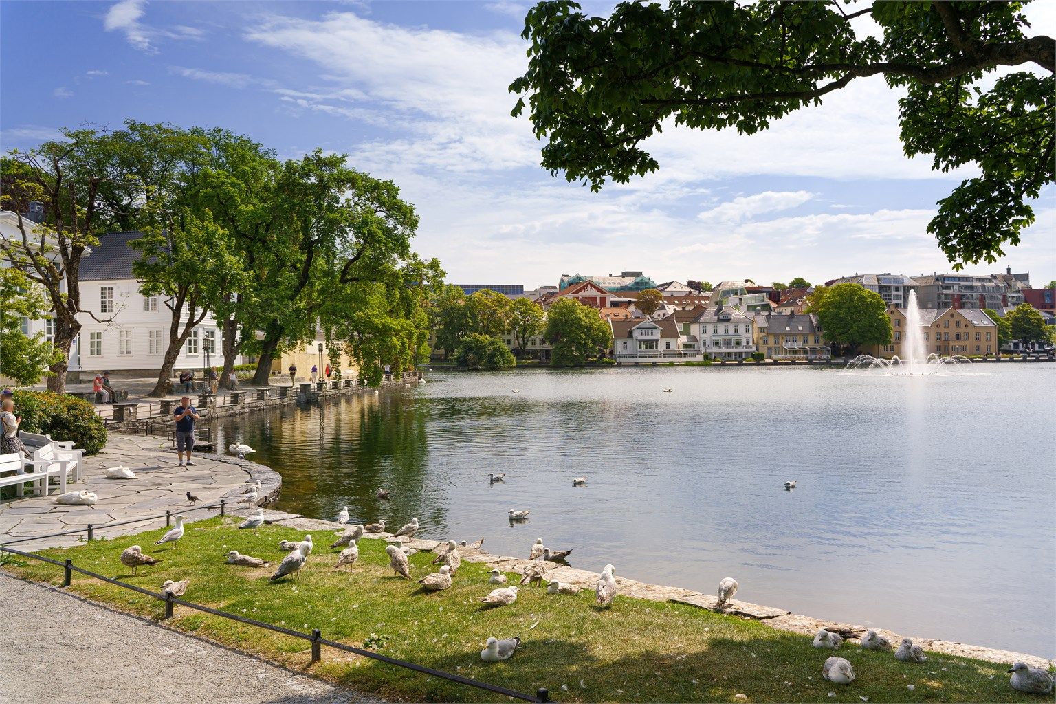 Kort vei ned til Breiavannet og jernbanestasjonen hvor det er god offentlig kommunikasjon som tog, buss og flybuss. 