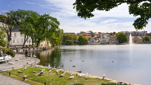 Kort vei ned til Breiavannet og jernbanestasjonen hvor det er god offentlig kommunikasjon som tog, buss og flybuss.
