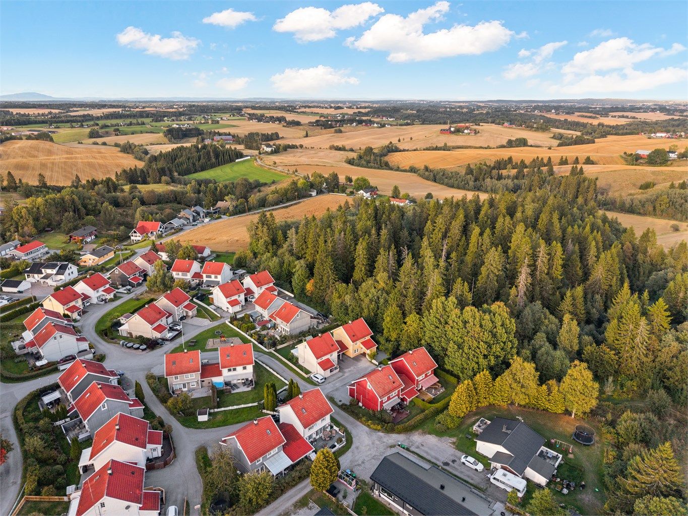 Kort gangavstand til Bekkeberget bussholdeplass med avganger mot Oslo.