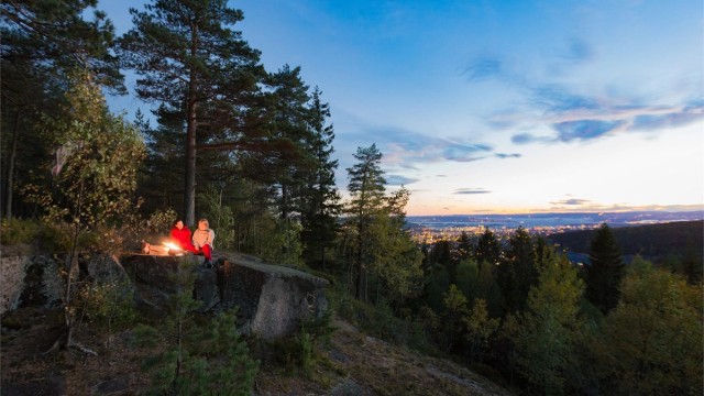 Idylliske Årvollåsen. Fotograf er Emil Wiik Larsen