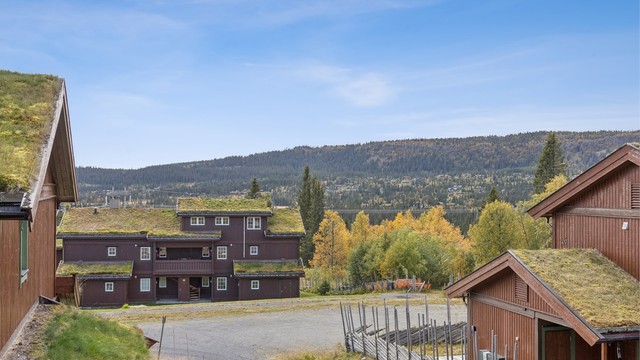 Området er omgitt av vakker natur, turterreng og langrennsspor like i nærheten.