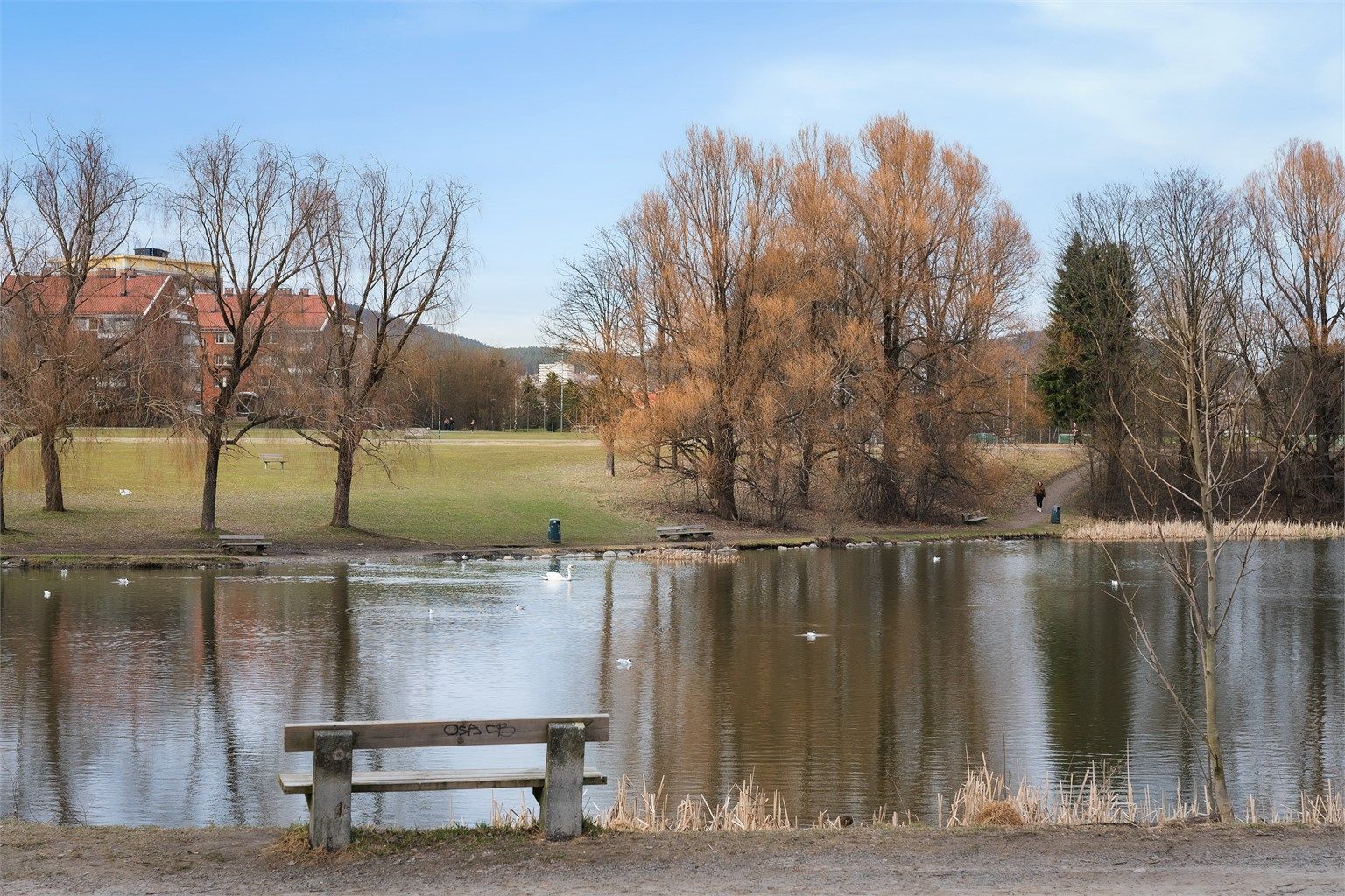Store, flotte grøntområder som Valle Hovin med sin idylliske andedam ligger i umiddelbar nærhet.