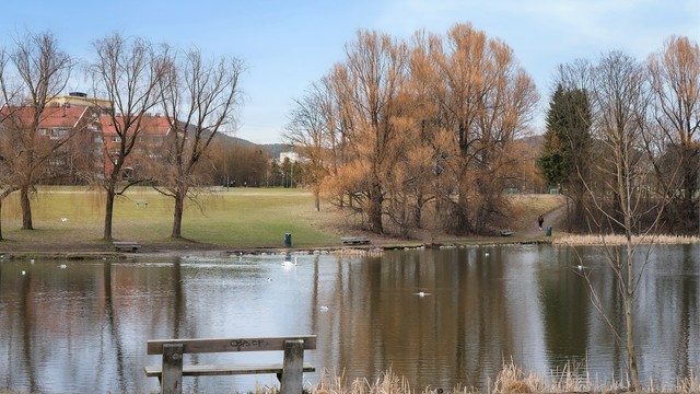 Store, flotte grøntområder som Valle Hovin med sin idylliske andedam ligger i umiddelbar nærhet.