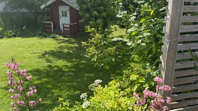 Solrik og frodig hage med romslig plen.