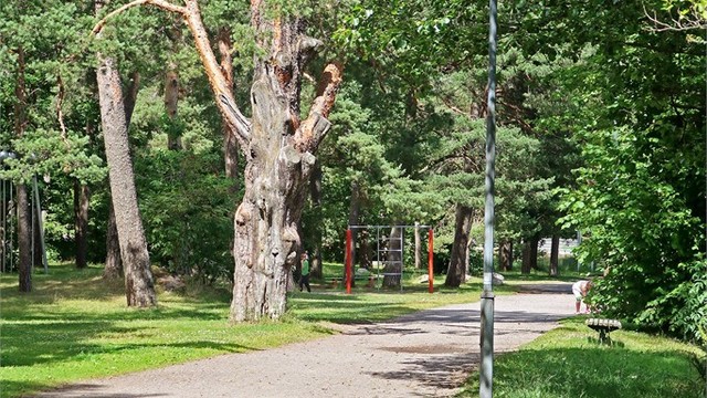 Messeområdet har en rekke aktiviteter for store og små.