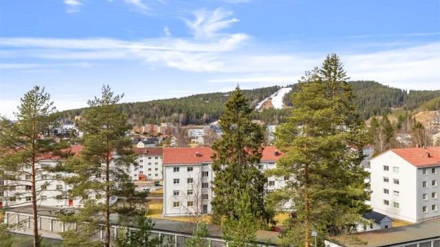 Området er svært populært for både barnefamilier og mennesker med sans for trening, tur og friluft.
