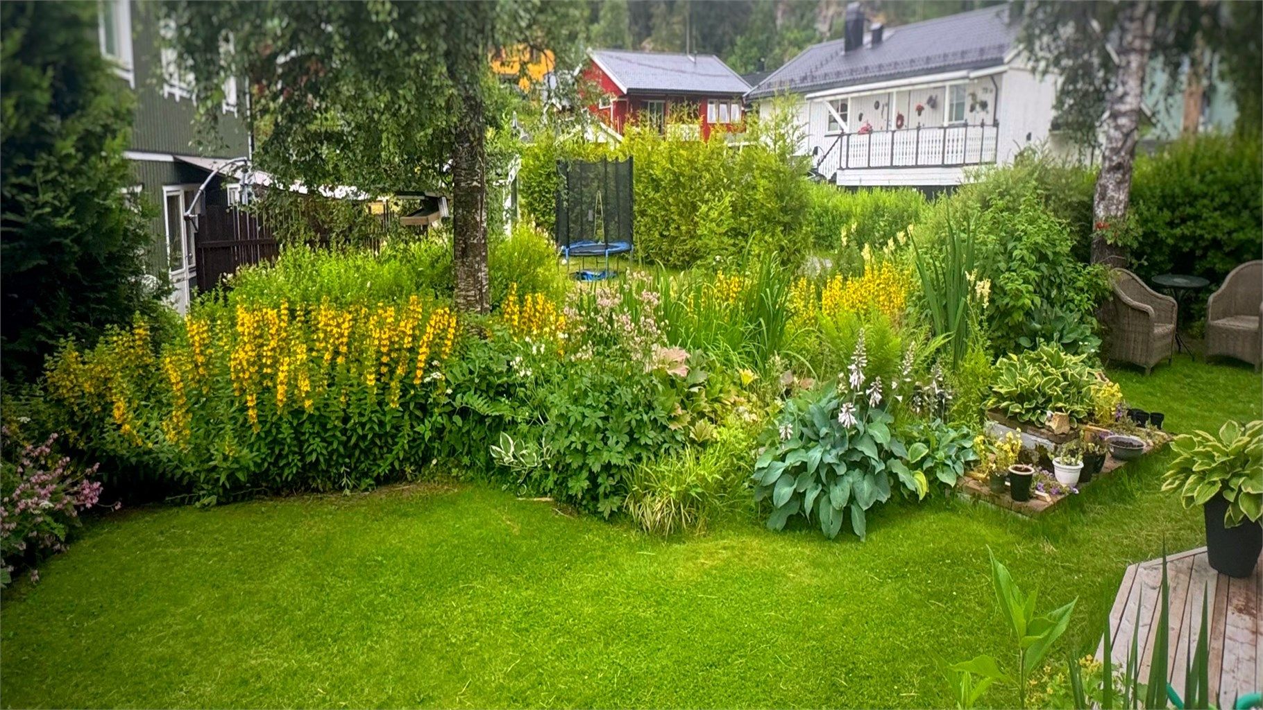 Bilde fra selger
